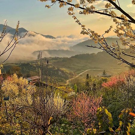 Ta Phin Cottage Sapa Bagian luar foto