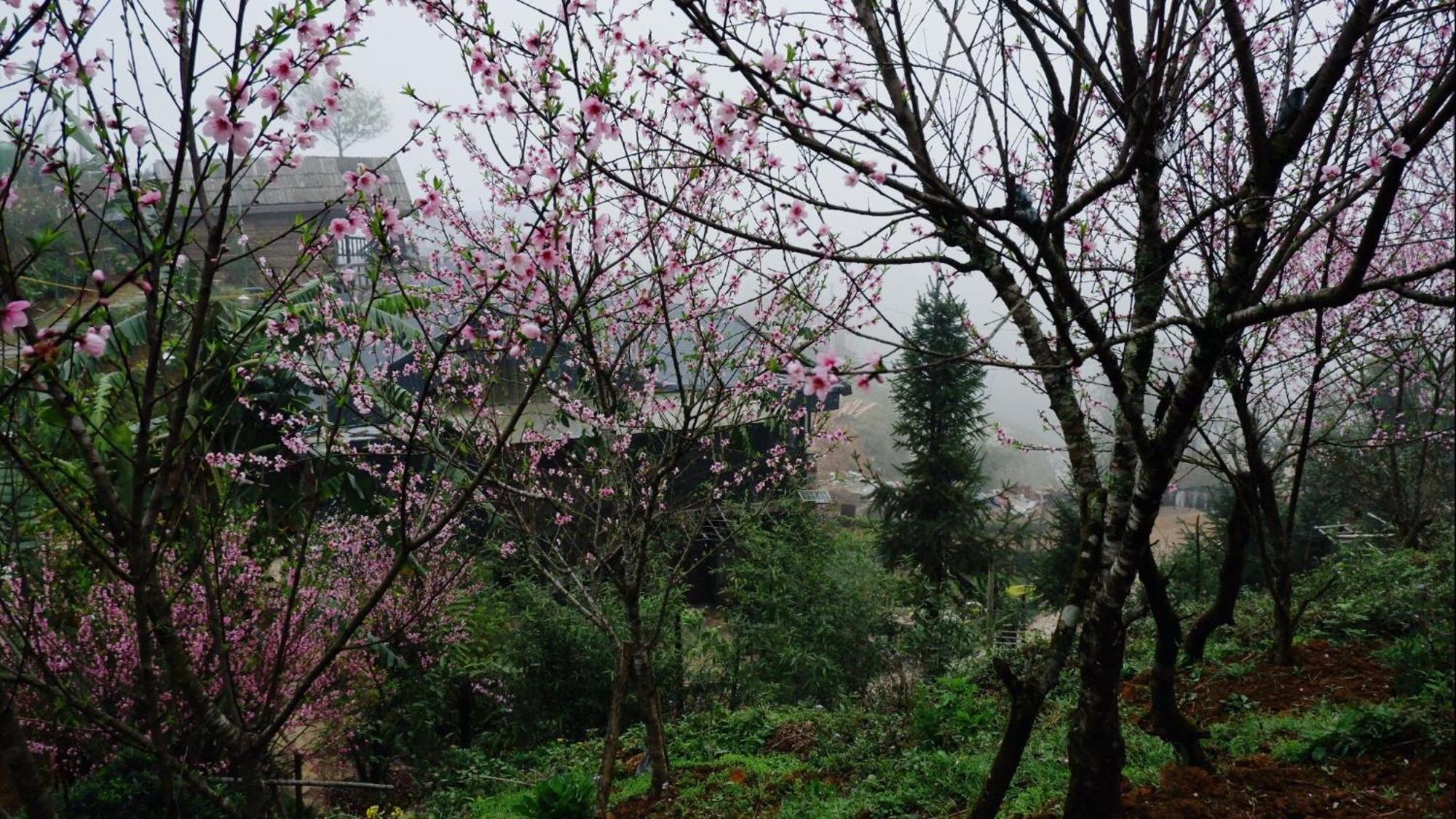 Ta Phin Cottage Sapa Bagian luar foto