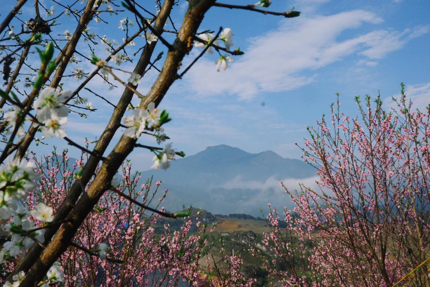 Ta Phin Cottage Sapa Bagian luar foto