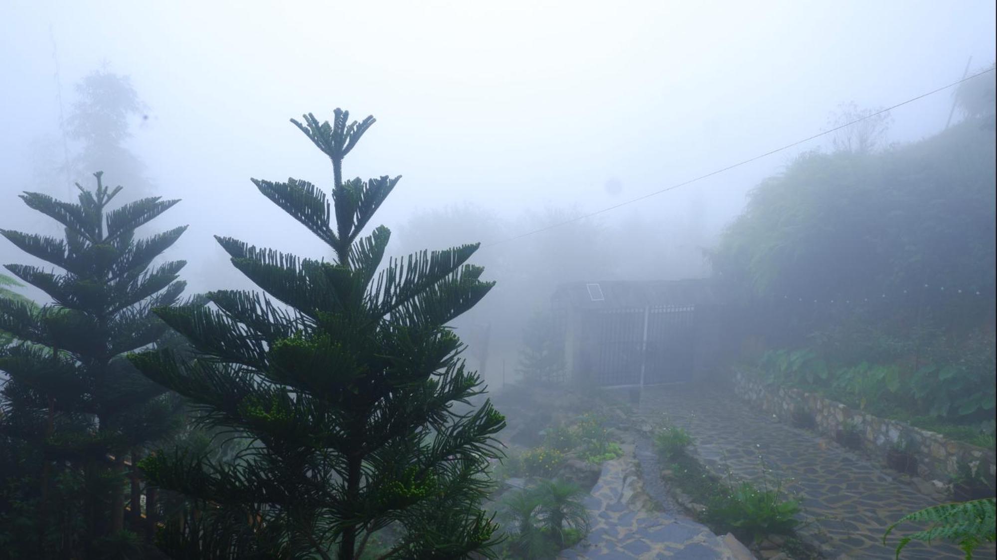 Ta Phin Cottage Sapa Bagian luar foto