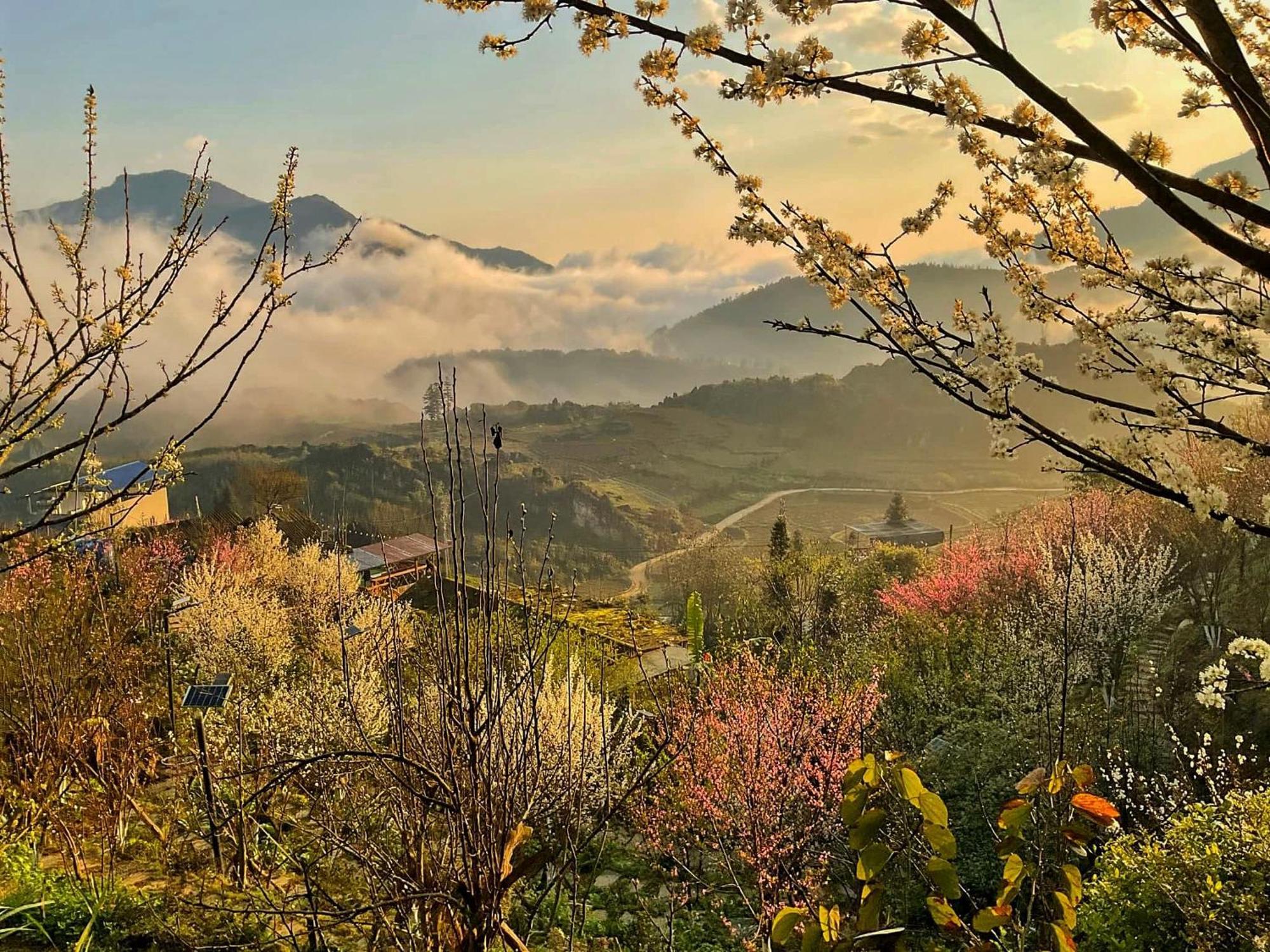 Ta Phin Cottage Sapa Bagian luar foto
