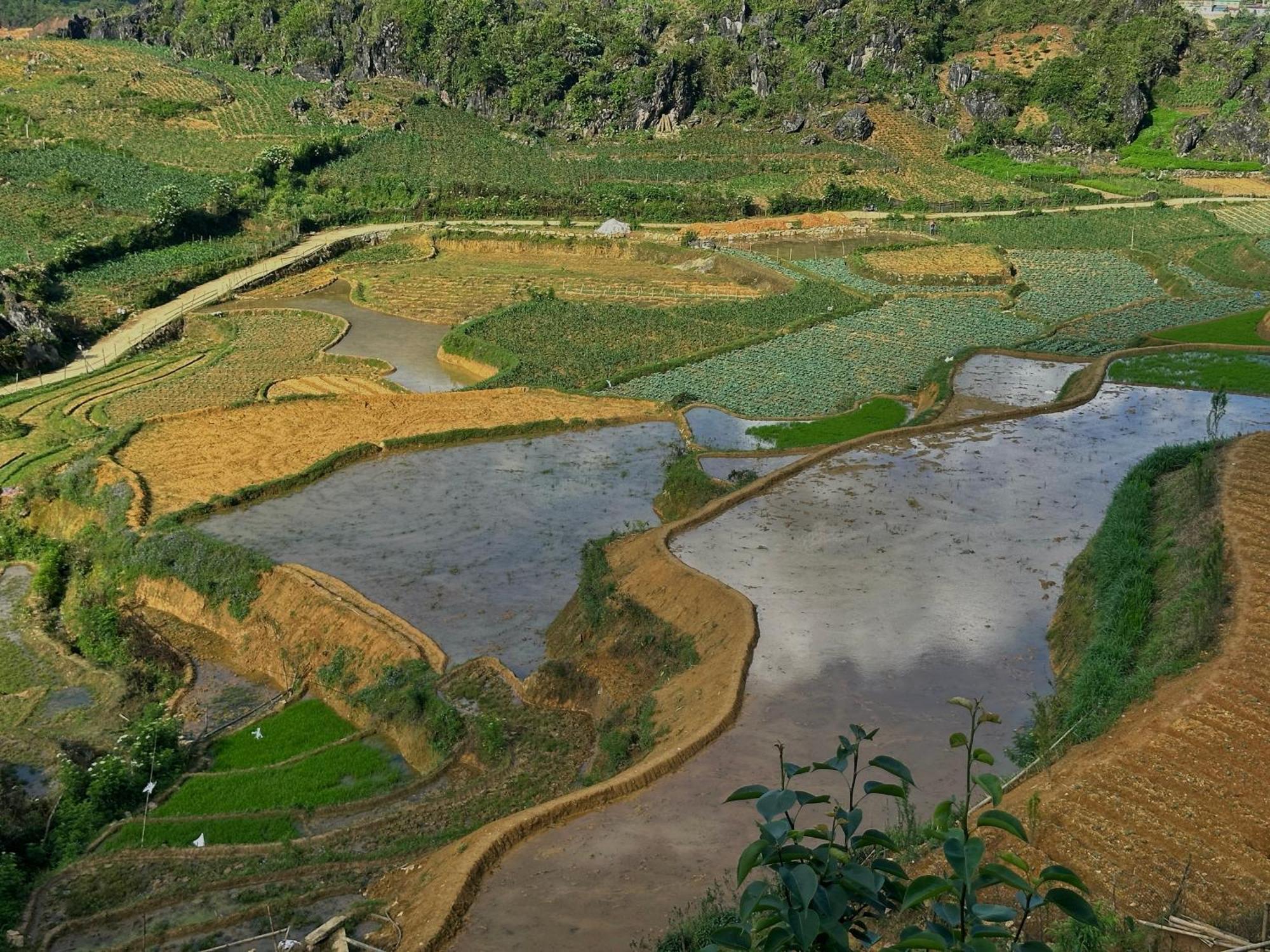 Ta Phin Cottage Sapa Bagian luar foto